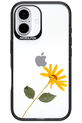 Pressed Flower - Apple iPhone 16