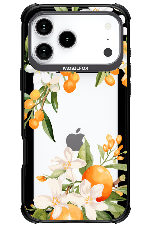 Amalfi Orange - Apple iPhone 17 Pro Max