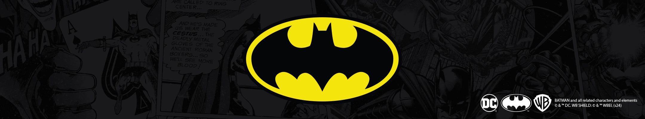 BATMAN 85 iPhone 13 Pro Max