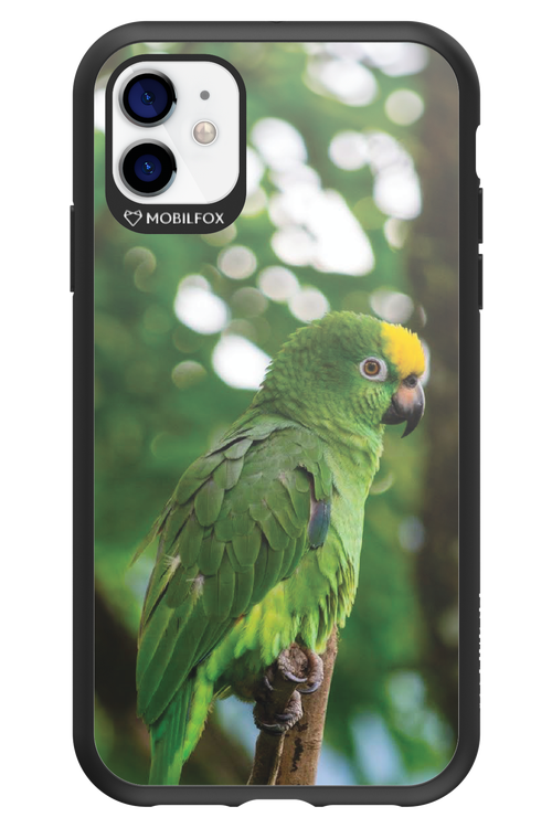 Budgerigar Green - Apple iPhone 11