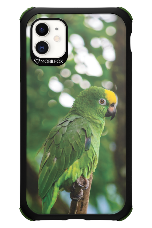 Budgerigar Green - Apple iPhone 11