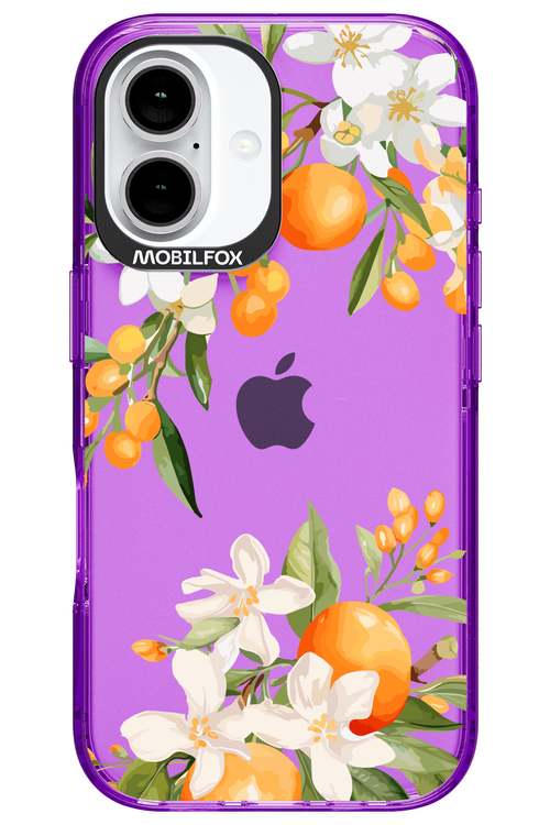 Amalfi Orange - Apple iPhone 16