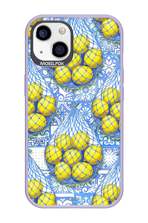 Net Style - Apple iPhone 13