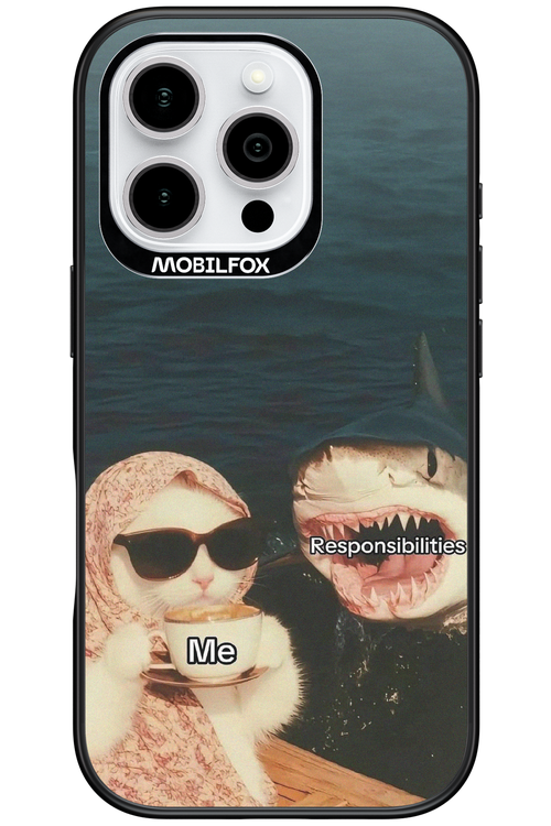 Responsibilities - Apple iPhone 16 Pro