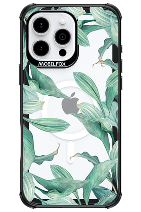 Greenpeace - Apple iPhone 16 Pro Max