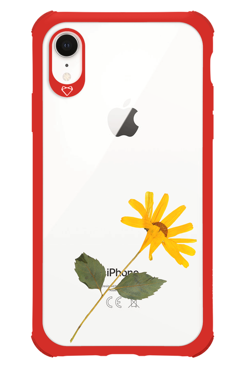 Pressed Flower - Apple iPhone XR
