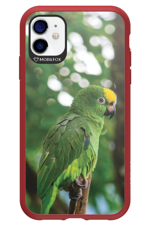 Budgerigar Green - Apple iPhone 11