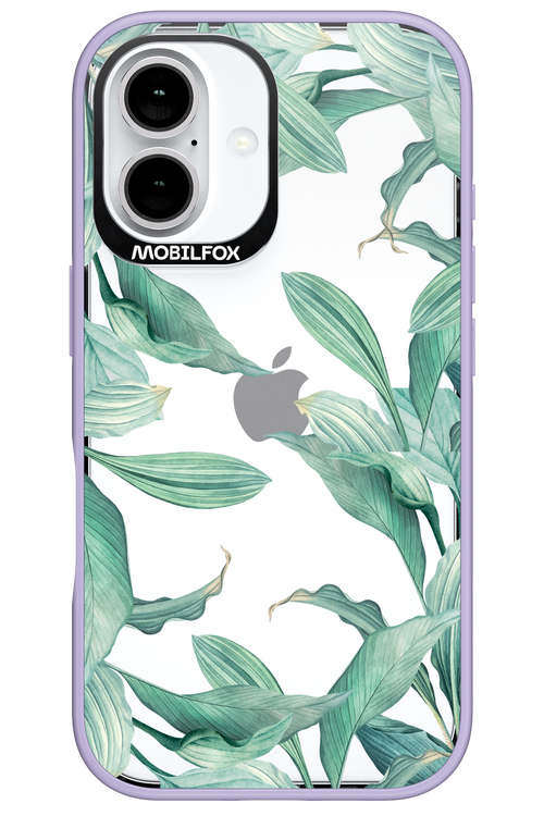 Greenpeace 2.0 - Apple iPhone 16