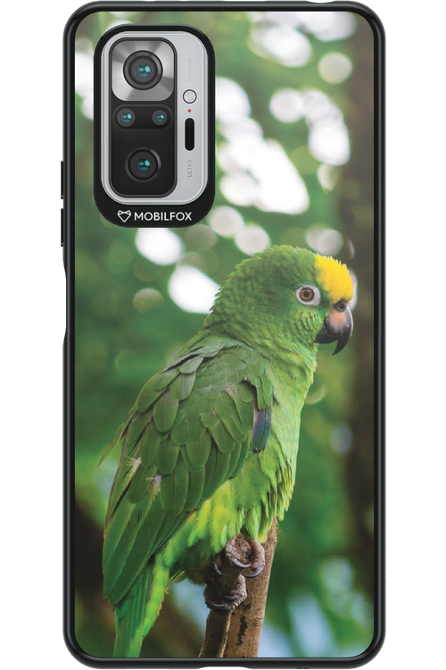 Budgerigar Green - Xiaomi Redmi Note 10 Pro