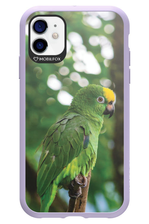 Budgerigar Green - Apple iPhone 11