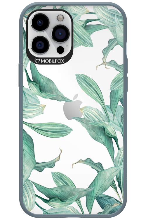 Greenpeace 2.0 - Apple iPhone 12 Pro Max