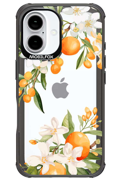 Amalfi Orange - Apple iPhone 16