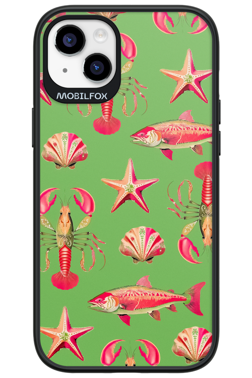 Sea Stars - Apple iPhone 14 Plus
