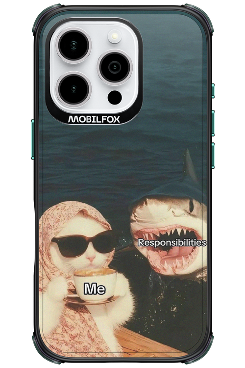 Responsibilities - Apple iPhone 16 Pro
