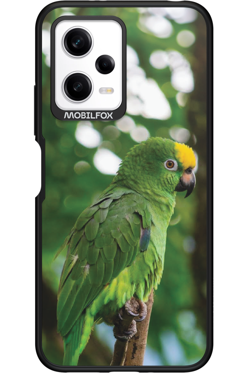 Budgerigar Green - Xiaomi Redmi Note 12 5G