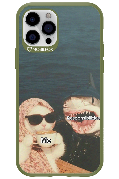Responsibilities - Apple iPhone 12 Pro