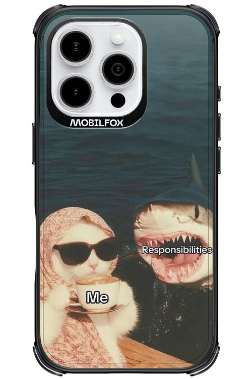 Responsibilities - Apple iPhone 16 Pro