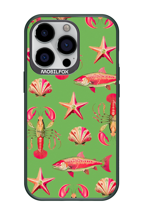 Sea Stars - Apple iPhone 13 Pro