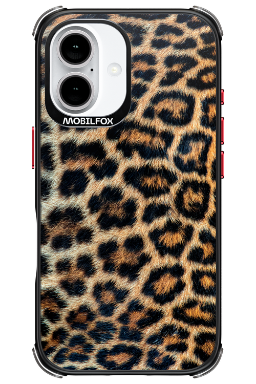 Leopard - Apple iPhone 16