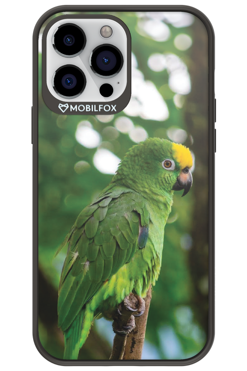 Budgerigar Green - Apple iPhone 13 Pro Max