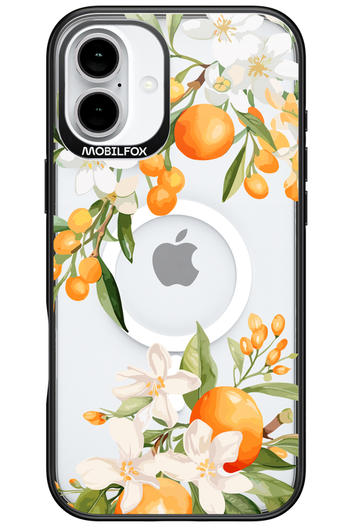 Amalfi Orange - Apple iPhone 16 Plus