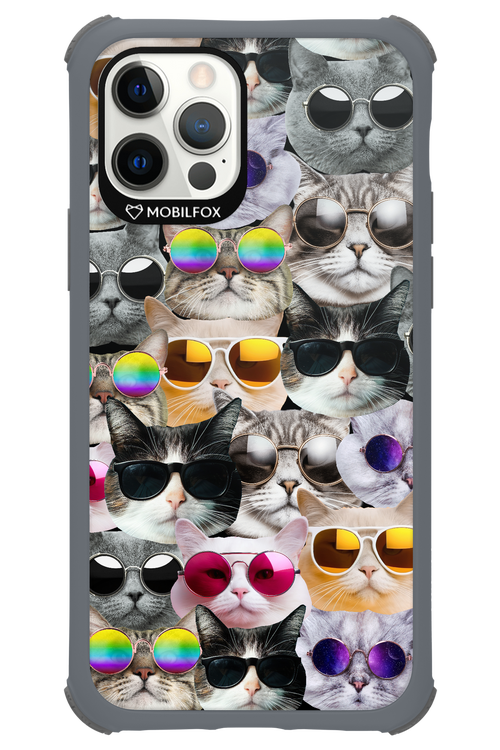 Cat World - Apple iPhone 12 Pro