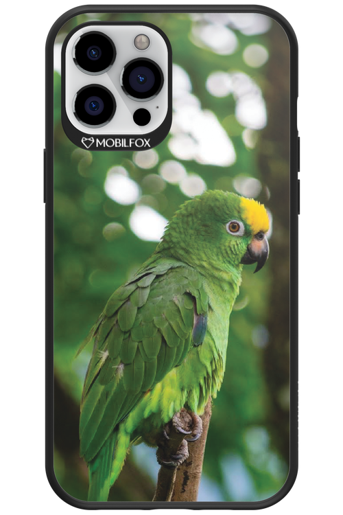 Budgerigar Green - Apple iPhone 12 Pro Max