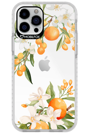 Amalfi Orange - Apple iPhone 12 Pro