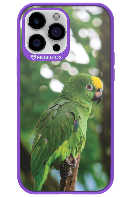 Budgerigar Green - Apple iPhone 13 Pro Max