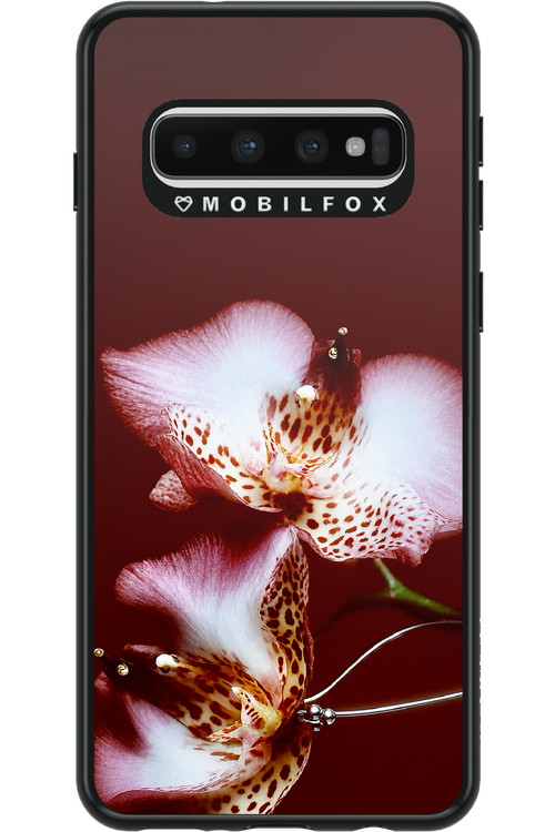 Leobloomy 2.0 - Samsung Galaxy S10