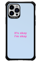 It_s Okay - Apple iPhone 12 Pro