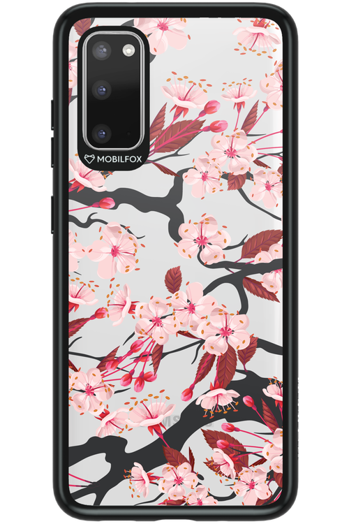 Sakura 2.0 - Samsung Galaxy S20