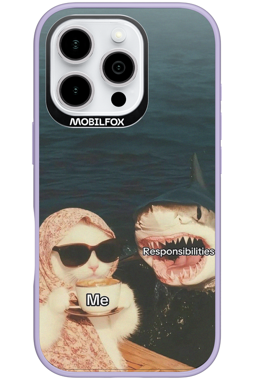 Responsibilities - Apple iPhone 16 Pro