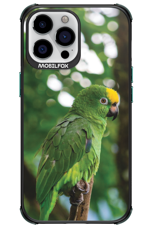 Budgerigar Green - Apple iPhone 13 Pro Max