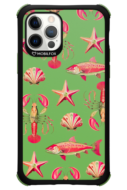 Sea Stars - Apple iPhone 12 Pro