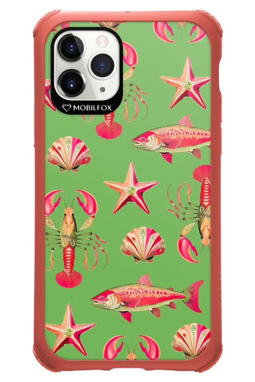 Sea Stars - Apple iPhone 11 Pro