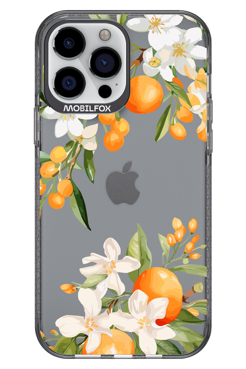 Amalfi Orange - Apple iPhone 13 Pro Max