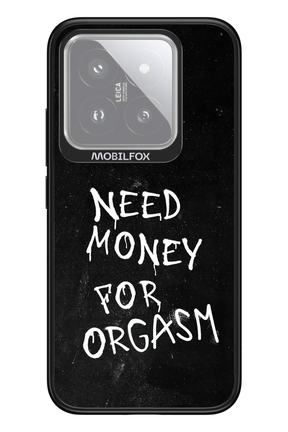 Orgasm 2.0 - Xiaomi 14