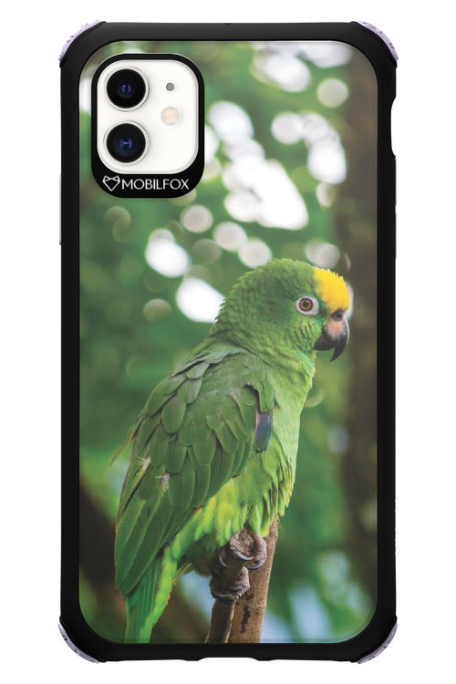 Budgerigar Green - Apple iPhone 11