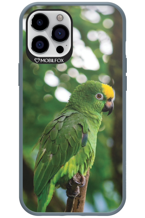 Budgerigar Green - Apple iPhone 12 Pro Max