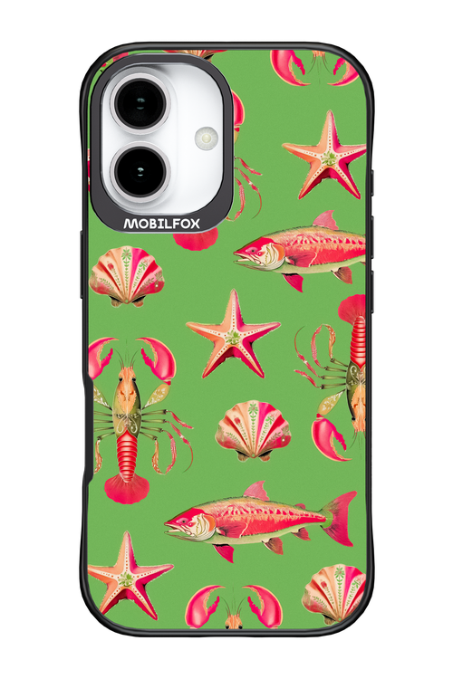 Sea Stars - Apple iPhone 17