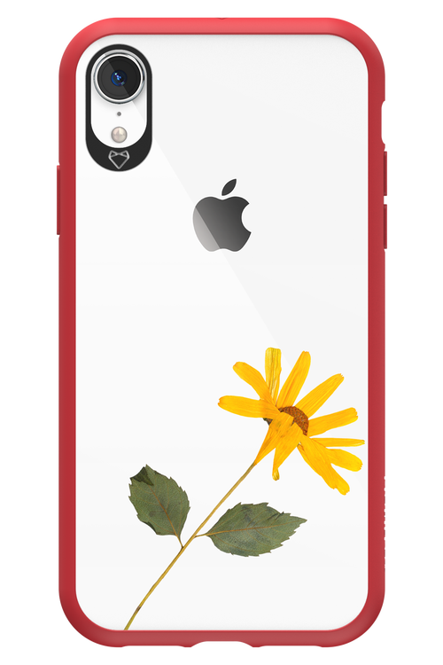 Pressed Flower - Apple iPhone XR
