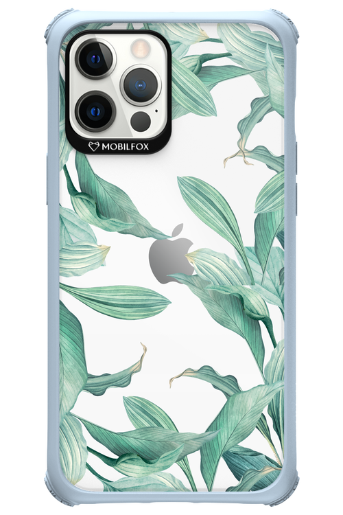Greenpeace - Apple iPhone 12 Pro Max