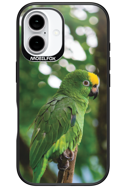 Budgerigar Green - Apple iPhone 16