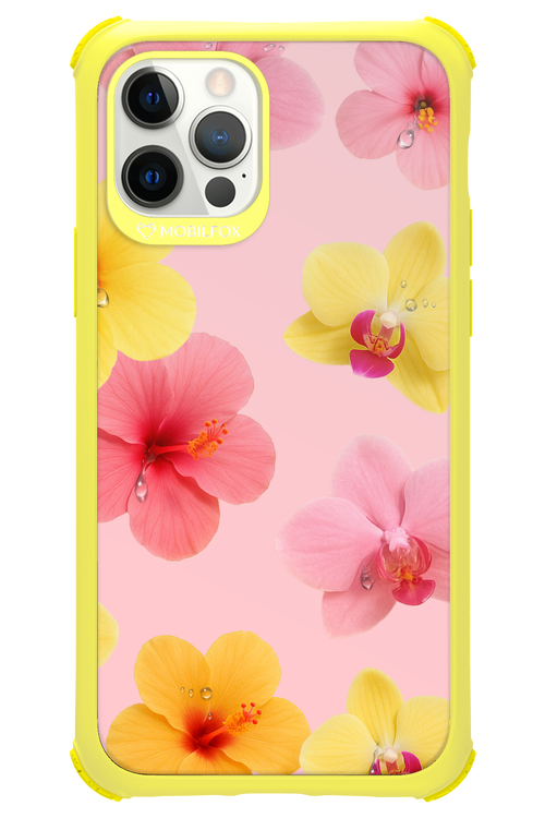 Sunset Flowers - Apple iPhone 12 Pro