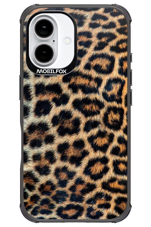 Leopard 2.0 - Apple iPhone 16