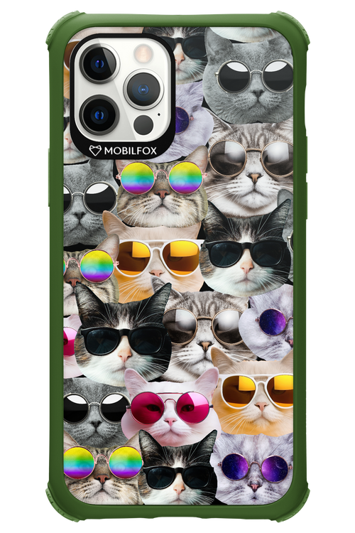 Cat World - Apple iPhone 12 Pro