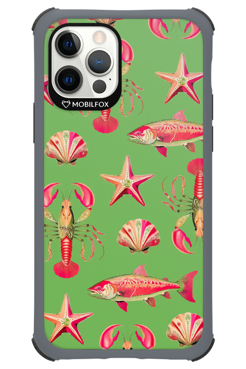 Sea Stars - Apple iPhone 12 Pro