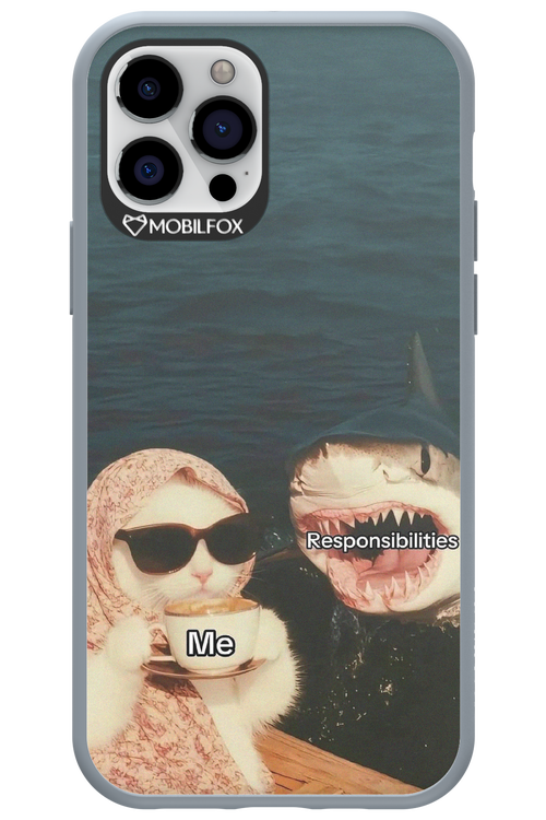 Responsibilities - Apple iPhone 12 Pro