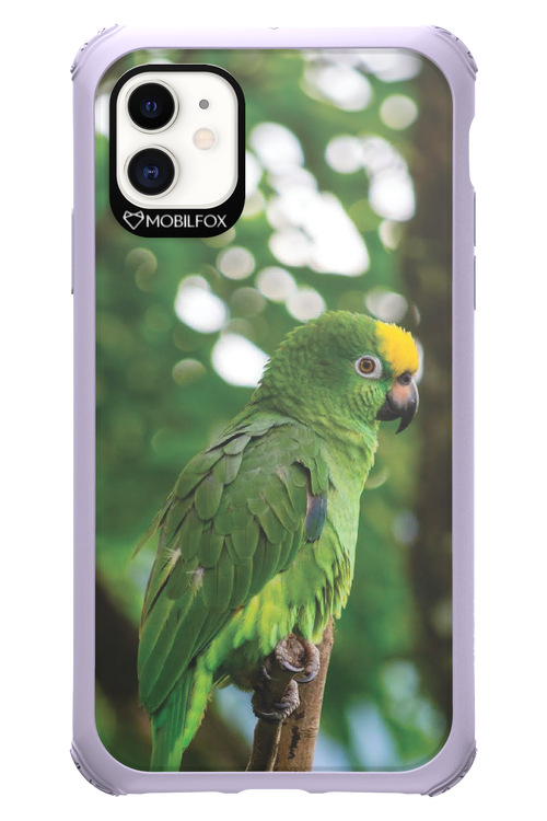 Budgerigar Green - Apple iPhone 11